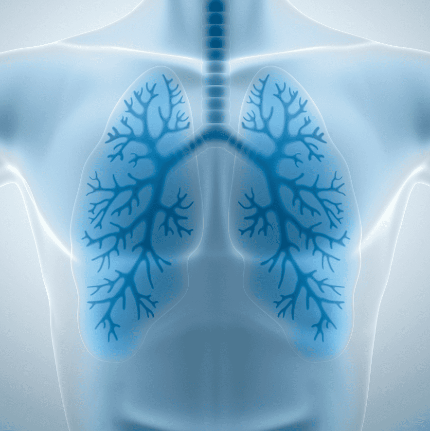 PNEUMOLOGIA